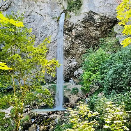 Starmuz * Obersammelsdorf